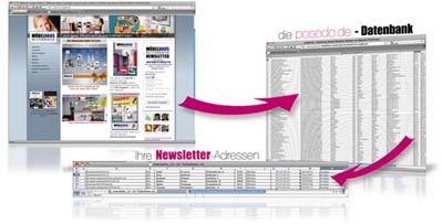 Newsletter-Datenbank